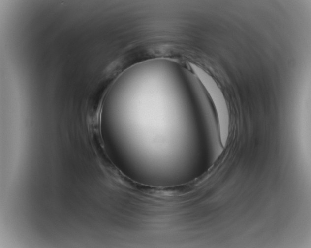 X0000115540332200911061505