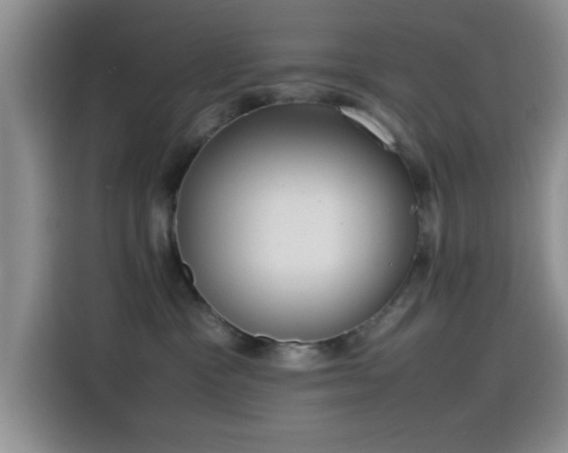 X0000115540333200911061505