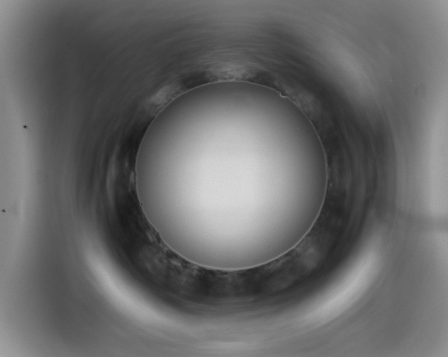 X0000115540334200911061505