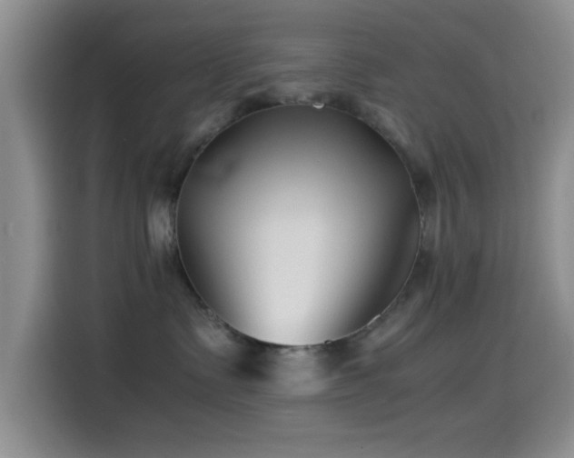 X0000115540335200911061505