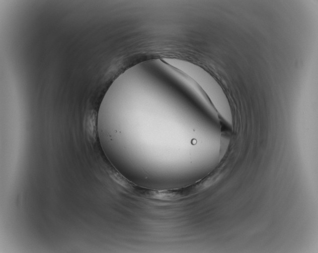 X0000115540336200911061505