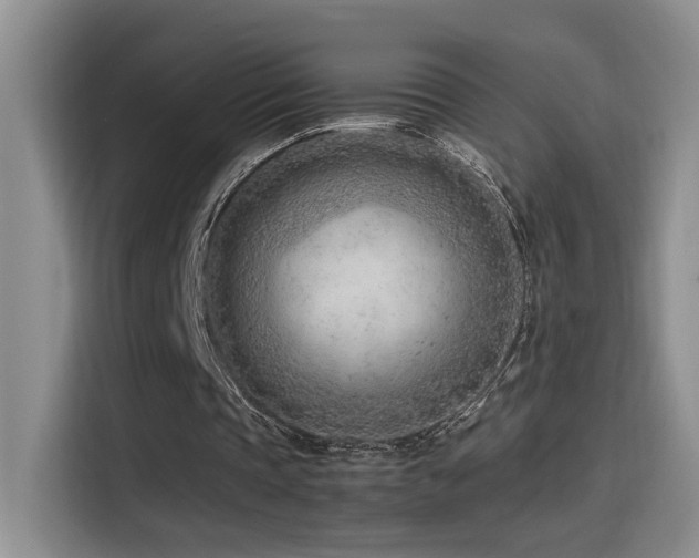 X0000115540337200911061504