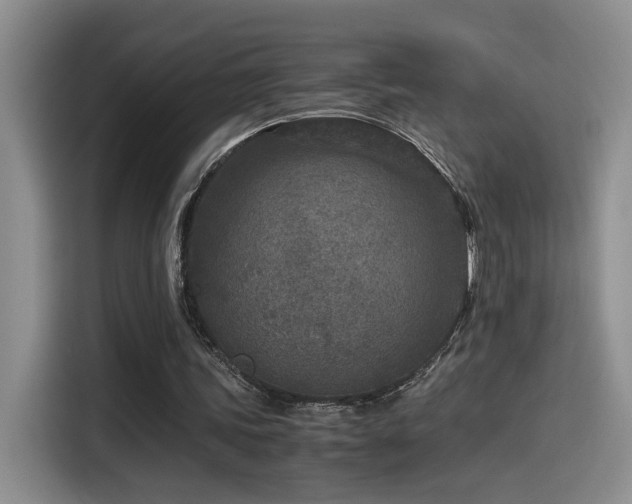 X0000115540339200911061504