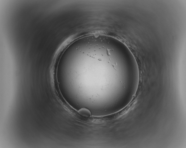 X0000115540341200911061504