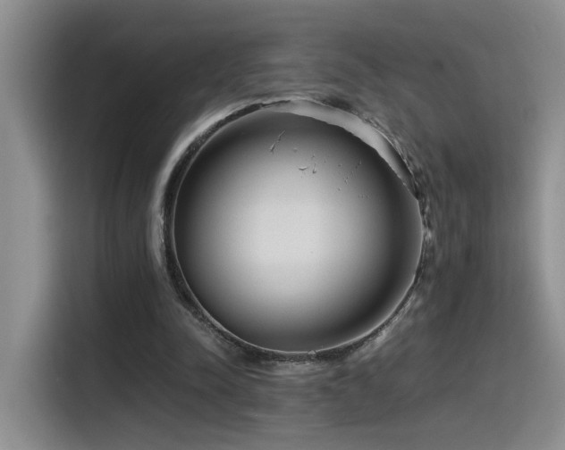 X0000115540342200911061504