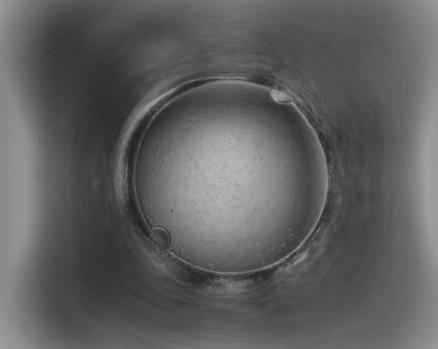 X0000115540343200911061504