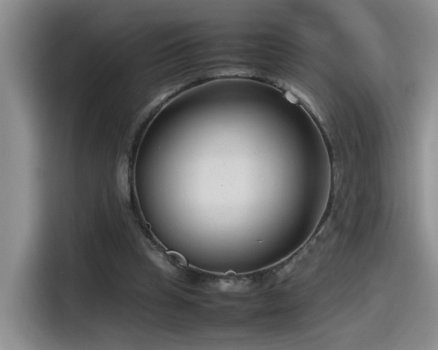 X0000115540345200911061504