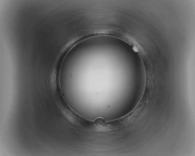 X0000115540346200911061504