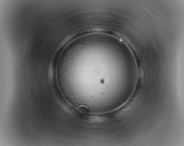 X0000115540347200911061504