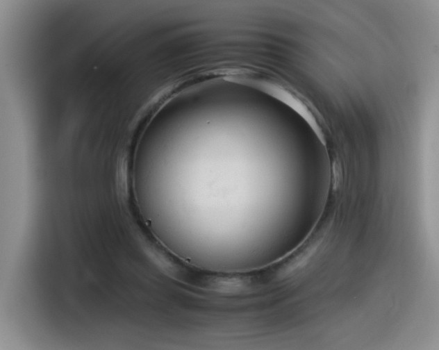 X0000115540349200911061505