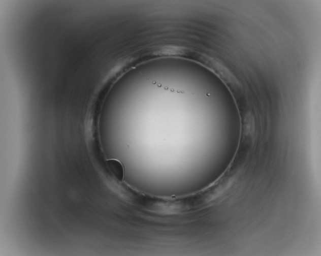 X0000115540351200911061505