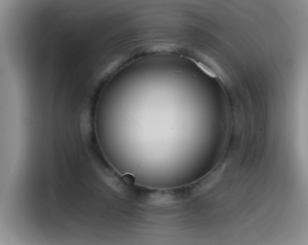 X0000115540354200911061505