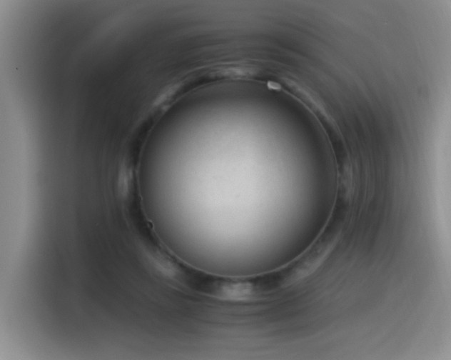 X0000115540355200911061505