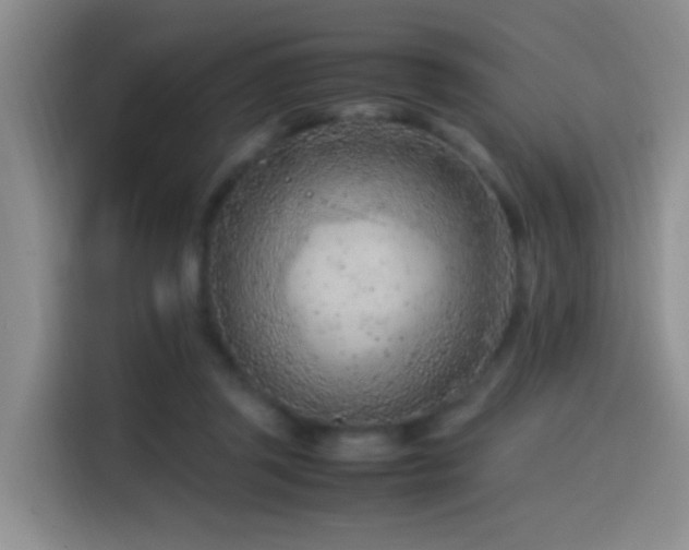 X0000115540357200911061505