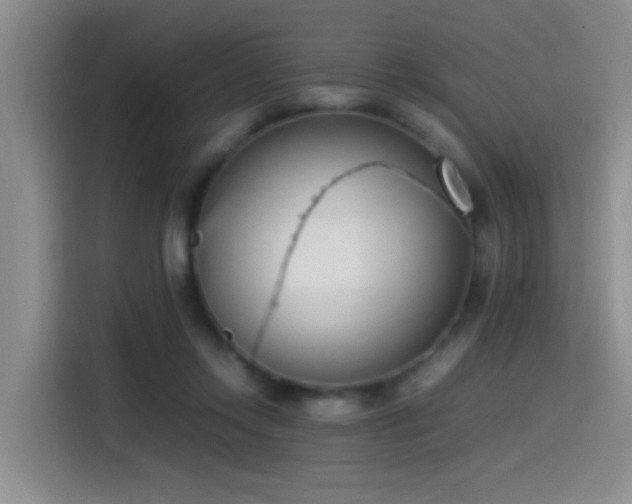 X0000115540358200911061505