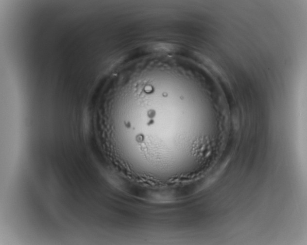 X0000115540359200911061505