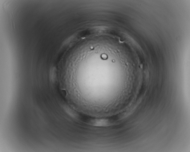 X0000115540361200911061505