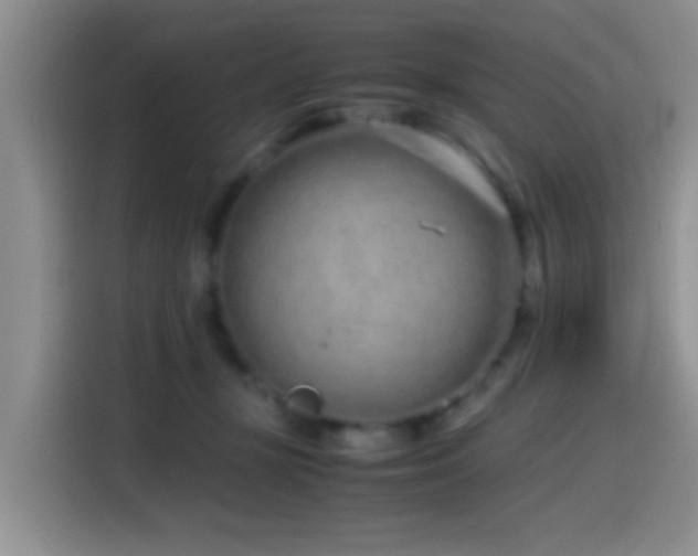 X0000115540367200911061505