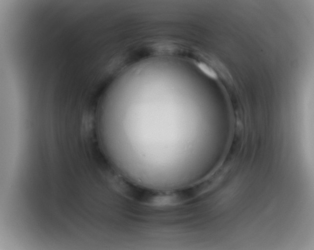 X0000115540369200911061505