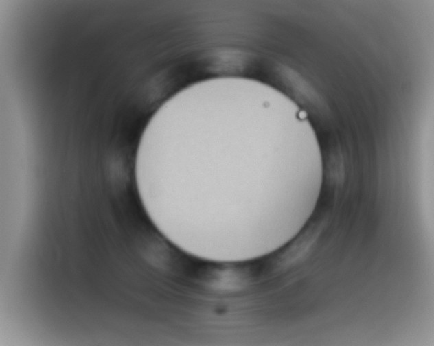 X0000115540370200911061505