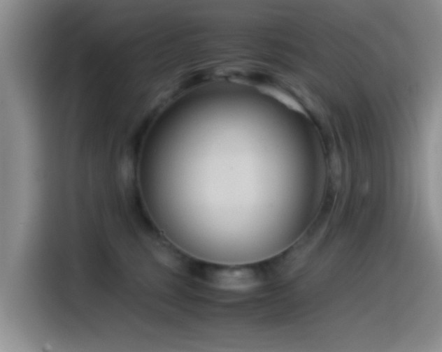 X0000115540375200911061505