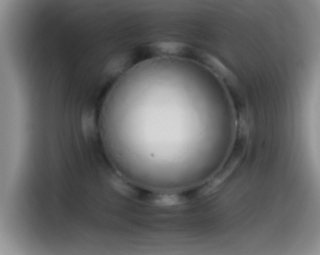 X0000115540377200911061505