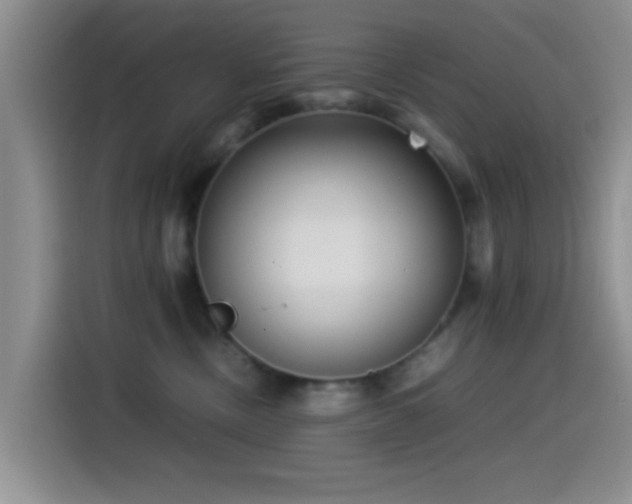 X0000115540378200911061505