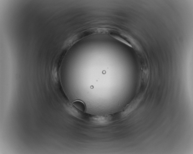 X0000115540381200911061505