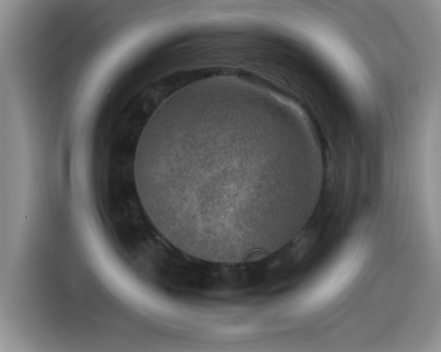 X0000115540383200911061505