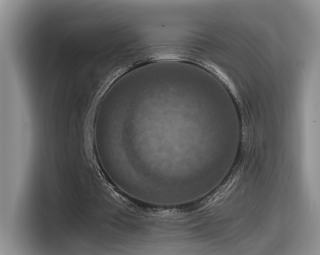 X0000115540385200911061504