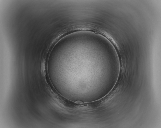 X0000115540386200911061504