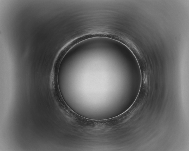 X0000115540388200911061504