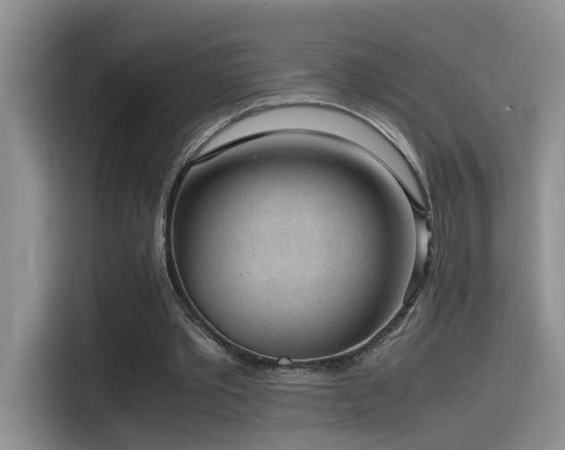 X0000115540389200911061504