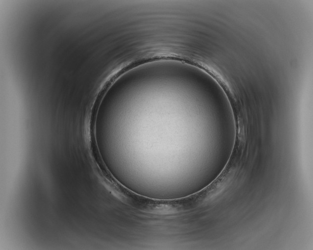 X0000115540390200911061504