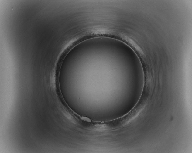 X0000115540391200911061504