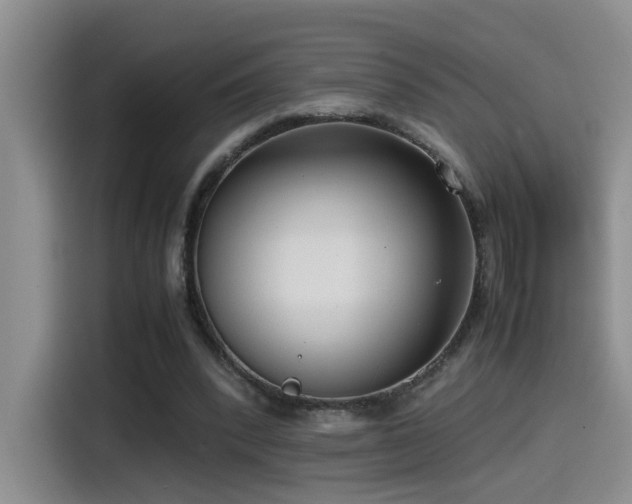 X0000115540392200911061504