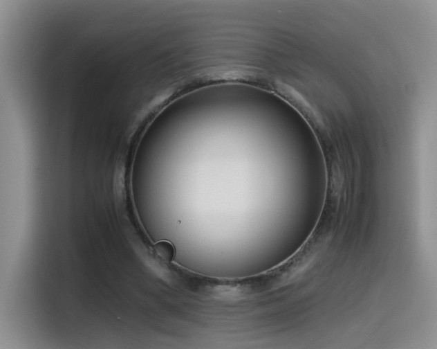 X0000115540394200911061504