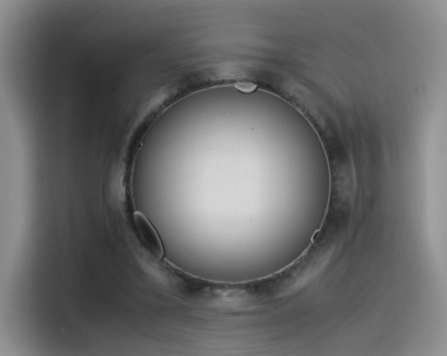 X0000115540395200911061504