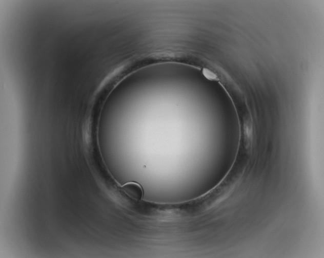 X0000115540396200911061504