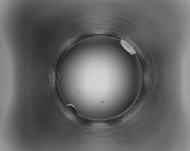 X0000115540397200911061504