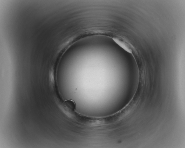 X0000115540398200911061504