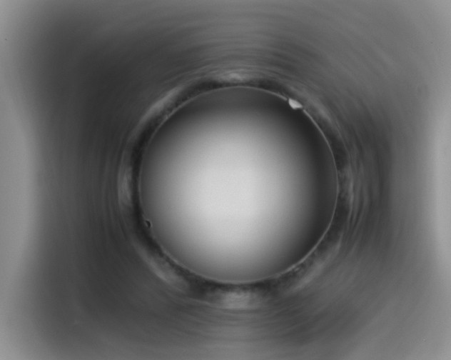 X0000115540400200911061504