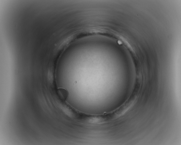 X0000115540402200911061504