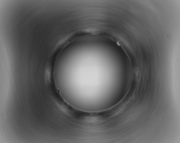 X0000115540404200911061504