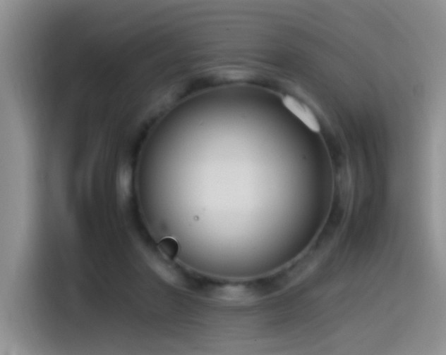 X0000115540406200911061504