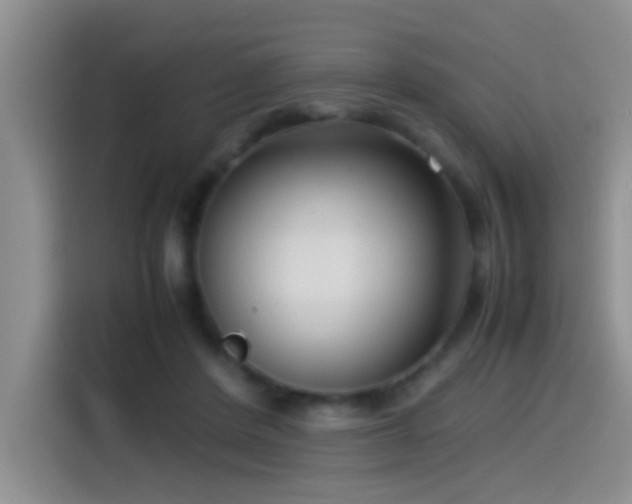 X0000115540408200911061504