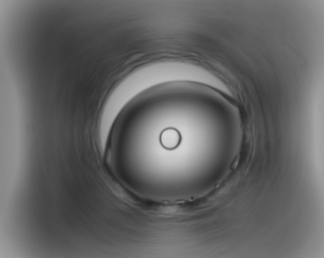 X0000115540409200911061504