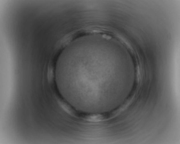 X0000115540410200911061504