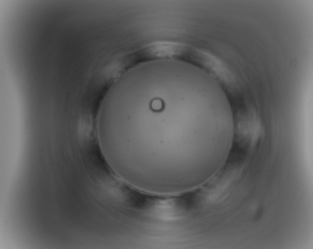 X0000115540411200911061504