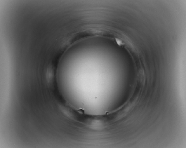 X0000115540412200911061504